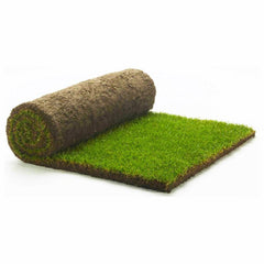 Collection image for: Turf