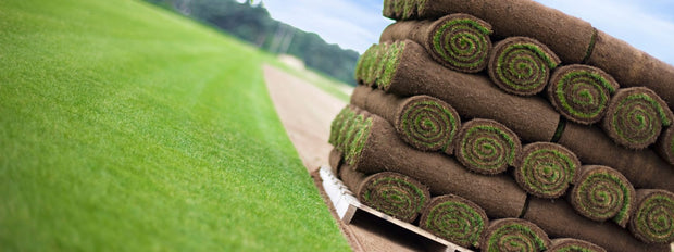 Banner image for: Shop Our Products