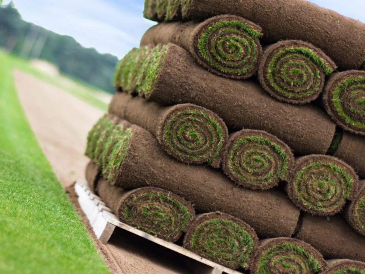 Looking for fresh, high quality turf in the North East? – The Grass ...
