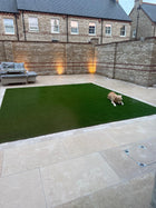 Egyptian Dijon Limestone Paving