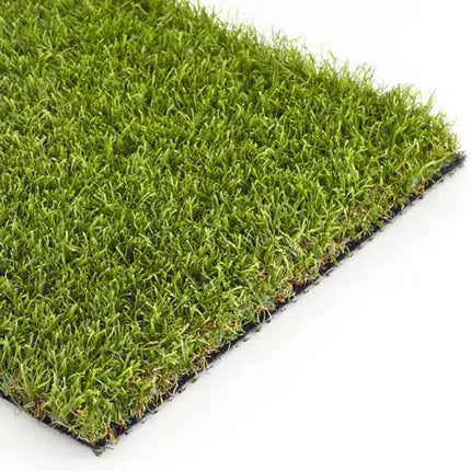 Sienna 35mm (Lazy Lawn) XQ2 Technology