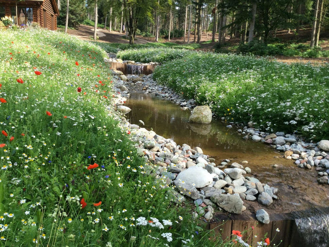 Tillers Wildflower Turf - The Landscape Factory